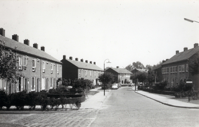 13911 Gezicht in de Nieuweweg met bebouwing te Nigtevecht. N.B. De gemeente Nigtevecht is per 1 januari 1989 ...